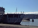 Zampa (118)